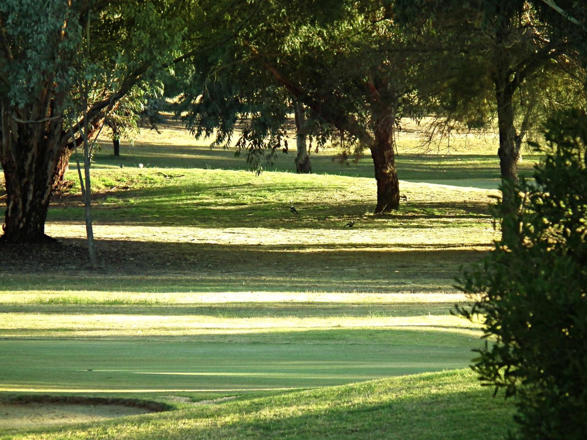 Cobram Barooga Golf Resort Phòng bức ảnh
